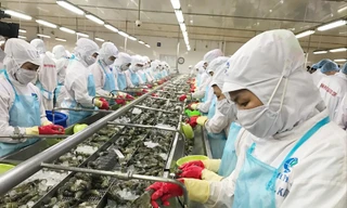 Tháo gỡ vướng mắc về pháp lý, tiếp cận vốn để phục hồi tăng trưởng 