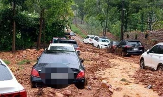 Thủ tướng yêu cầu xử lý triệt để việc xây dựng trái phép trên đất rừng phòng hộ