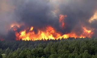 Thời tiết nắng nóng, Thủ tướng yêu cầu cấp bách phòng cháy rừng