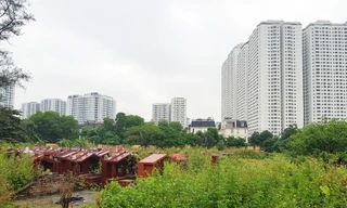 Nơi học sinh đông nhất: Đất trường học bị 'dí' vào nghĩa trang,ao đình