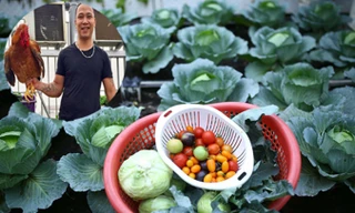 Ông bố Hà Nội chi 70 triệu trồng rau, nuôi gà trên sân thượng