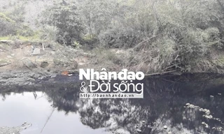 Nước từ khu xử lý chất thải của Indevco “rò” ra sông Diễn Vọng.