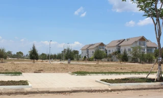 Đất nền tại khu ven Sài Gòn chủ yếu được nhà đầu tư mua đi bán lại.