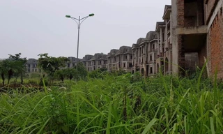 Một dự án bỏ hoang từ nhiều năm nay tại huyện Hoài Đức.