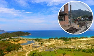 Siêu dự án nghìn tỷ ven biển Ninh Thuận thành nơi chăn bò, thả dê