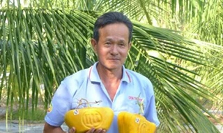 Lạ lẫm bưởi hình thỏi vàng, hồ lô ở Hậu Giang