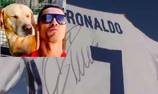 Cristiano Ronaldo rất yêu thương động vật.