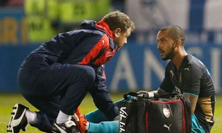 Walcott tái phát chấn thương.