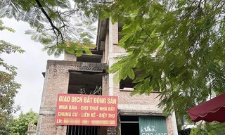 Môi giới bất động sản bỏ nghề, mở trà đá, bán đồ ăn vỉa hè