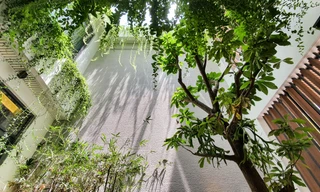 Biệt thự sân vườn bình yên giữa lòng Tây Đô