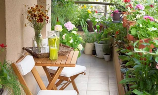 Những cách dễ dàng để biến ban công thành khu vườn xinh đẹp