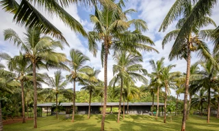 Thích thú với nhà vườn có thiết kế đặc biệt giấu đi các lớp cửa lùa