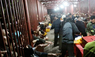 Xoè tay xin ấn đền Trần Ảnh: Nguyễn Hoàng