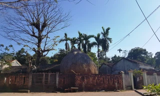 Mọt góc làng Đo Đo