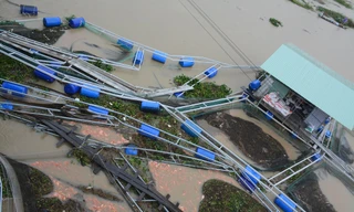 Bất lực nhìn 60 tấn cá Diêu hồng trôi vèo ra sông