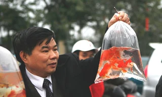 Người dân chọn mua cá trên đường Lê Duẩn, Hà Nội chiều 25-1. Ảnh: Hải Hồ (Tuổi Trẻ)