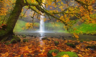 Thác nước đẹp như mơ