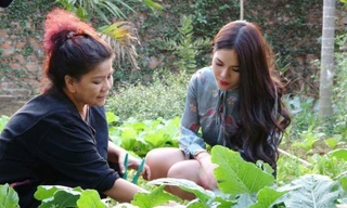 Vườn rau xanh an toàn tự tay trồng của NSND Thanh Hoa