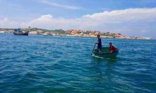 Hội Nghề cá Việt Nam kiến nghị về việc nhận chìm bùn thải