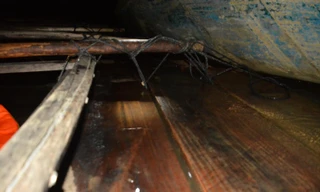 Gỗ lậu được kết thành bè và được cột bằng dây thừng vào hai bên thành ghe. 