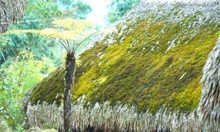 Đẹp mê mẩn những mái nhà phủ đầy rêu xanh ở đỉnh Tây Côn Lĩnh