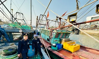Bắt 2 tàu cá trong vùng lõi vịnh Hạ Long