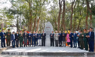 Quảng Ninh có thêm 156 cây di sản Việt Nam