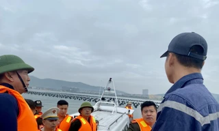 Cưỡng chế nhiều hộ nuôi hàu trái phép trên vịnh Hạ Long