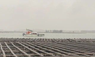 Hạ Long: Họp khẩn cưỡng chế gần 100 bè nuôi hàu trái phép