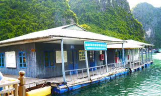 Làng chài thuộc top đẹp nhất thế giới ở vịnh Hạ Long đang 'chìm' dần