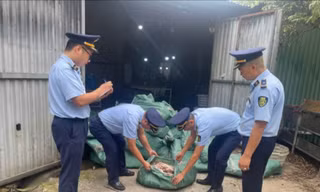Phát hiện kho hàng chứa 8 tấn chân gà không rõ nguồn gốc tại Móng Cái