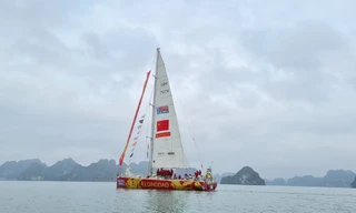 Cận cảnh dàn thuyền buồm vòng quanh thế giới đến vịnh Hạ Long