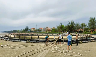 Lựa thủy triều để bàn giao lồng bè cho phía Trung Quốc bị bão Yagi đánh bay