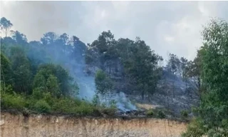 Cháy rừng ở Quảng Ninh, hai người tử vong
