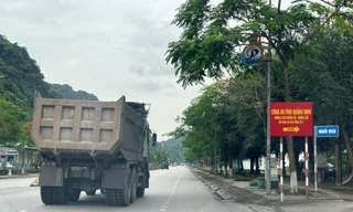 'Binh đoàn hổ vồ' lộng hành, cơ quan chức năng Quảng Ninh làm ngơ?