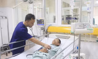 Người đàn ông suýt mất mạng vì ăn loại hải sản kịch độc