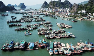 Đảo Vân Đồn 'khát' xăng dầu, Giám đốc Sở Công Thương nói 'có việc gì lớn đâu'