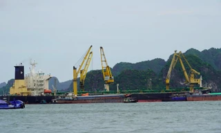 Tai nạn lao động tại huyện đảo Vân Đồn, một công nhân tử vong