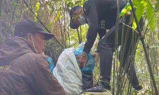 Người phụ nữ ở Hà Nội sống sót thần kỳ sau 7 ngày rơi xuống vực sâu núi Yên Tử