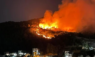 Liên tiếp cháy rừng ở Hạ Long