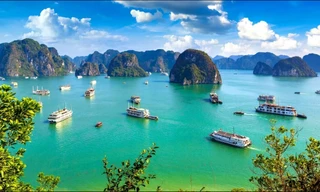 Đi thuyền trên vịnh Hạ Long, Lan Hạ là trải nghiệm thú vị nhất thế giới