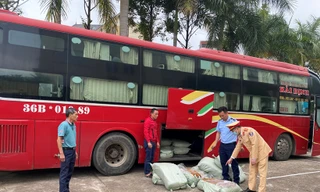 Phát hiện nửa tấn lòng lợn thối trên xe khách 