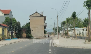 Kỳ lạ ngôi nhà 'mọc' giữa đường ở Quảng Ninh