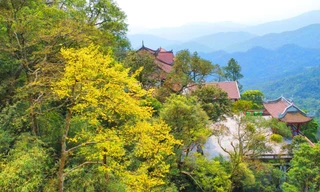 Về Yên Tử mùa khoác áo cà sa