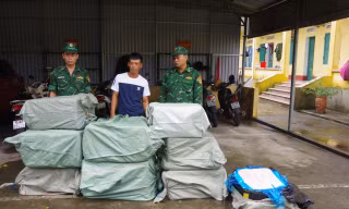 Đồn biên phòng Trà Cổ bắt giữ bè gỗ chở lượng lớn nầm lợn nhập lậu 
