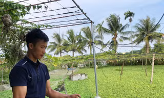 Chàng trai 9x kiếm nửa tỷ mỗi năm nhờ nuôi ốc nhồi