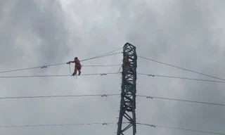 Giám đốc Điện lực Hạ Long bất ngờ bị đình chỉ công tác