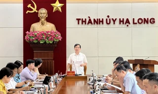 Tạm đình chỉ công tác Giám đốc Ban Quản lý dự án TP. Hạ Long