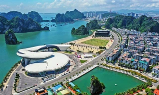 Lãnh đạo nhiều doanh nghiệp sắp bị hoãn xuất cảnh 