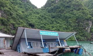 Vụ nhà bảo tồn bị chìm: Ban Quản lý vịnh Hạ Long nói gì?